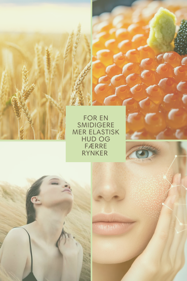 Romega® Skin Refine 6